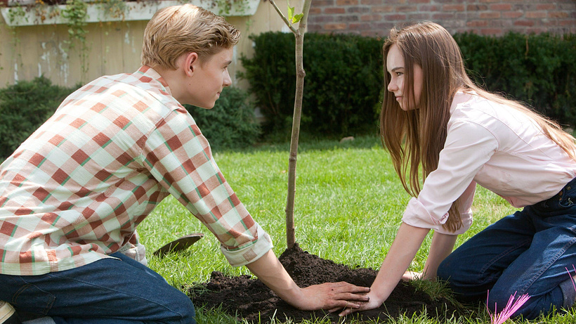 Imagen de Flipped