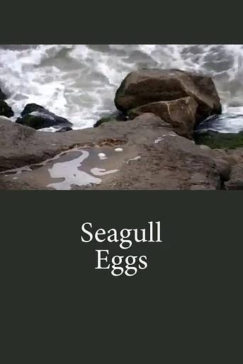 Poster de Seagull Eggs