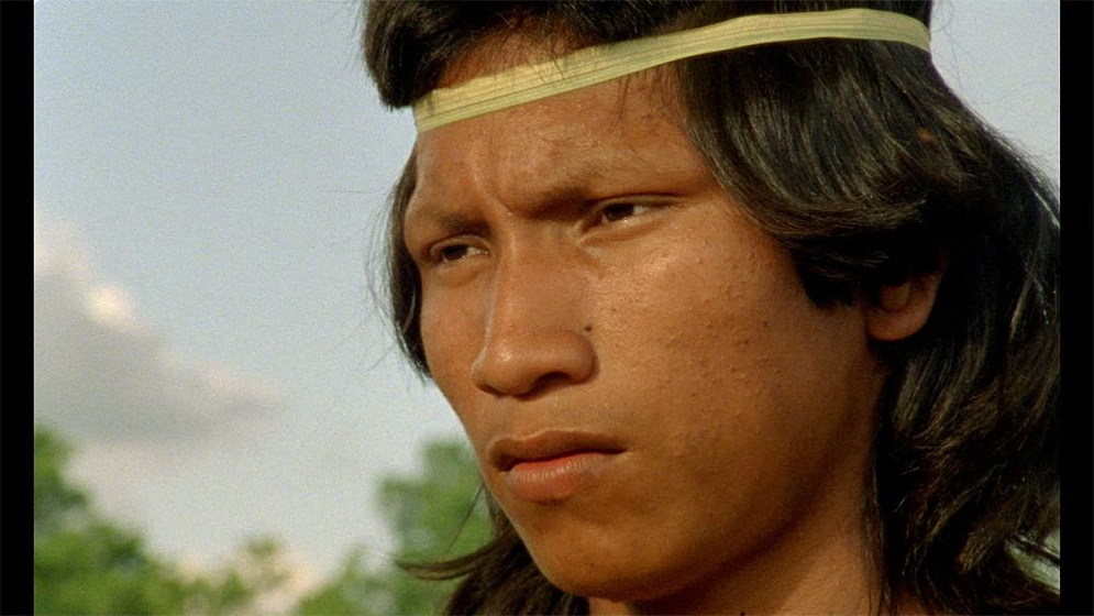 Imagen de El Canto de la Selva