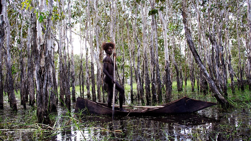 Imagen de Ten Canoes