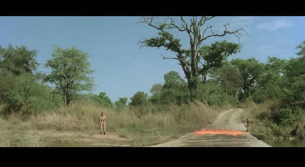 Imagen de Safari Express