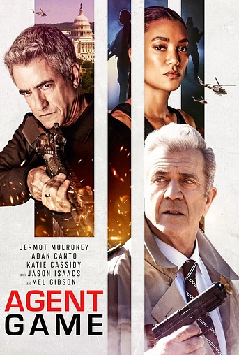 Poster de Agent Game
