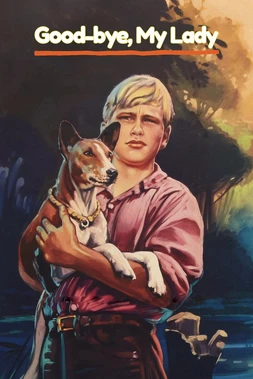 El Niño y El Perro