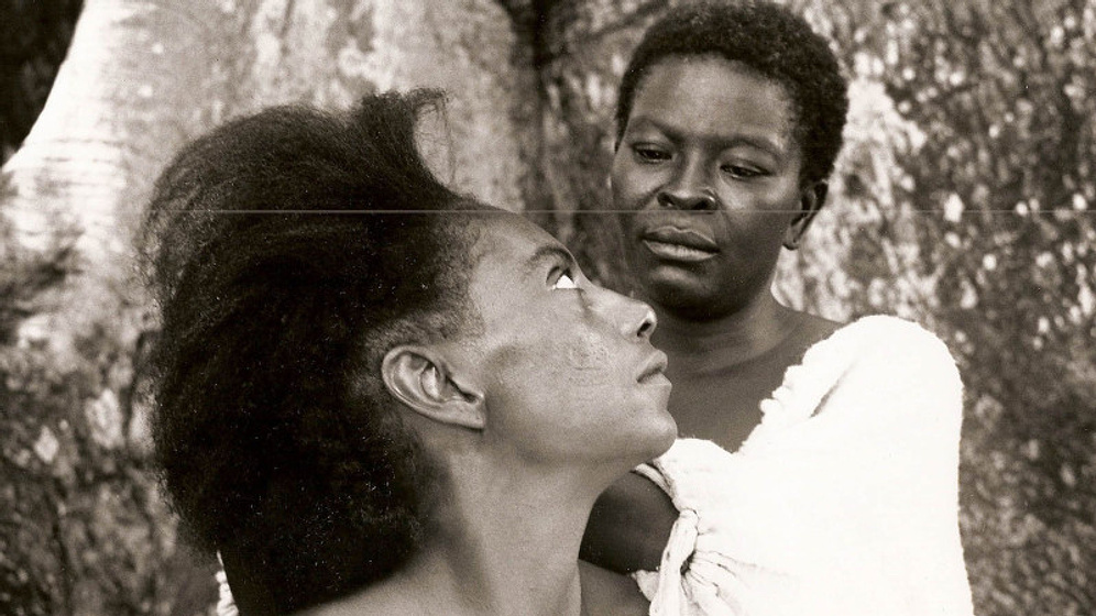 Imagen de Sankofa