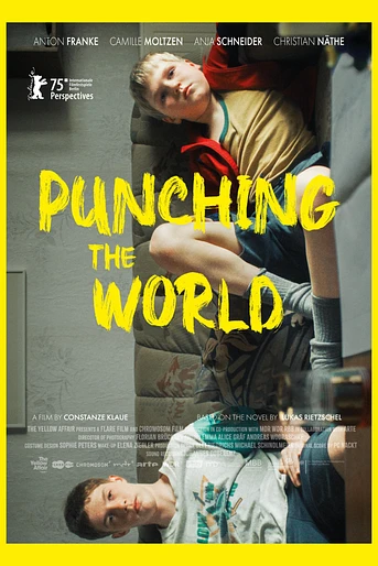 Poster de Punching the World