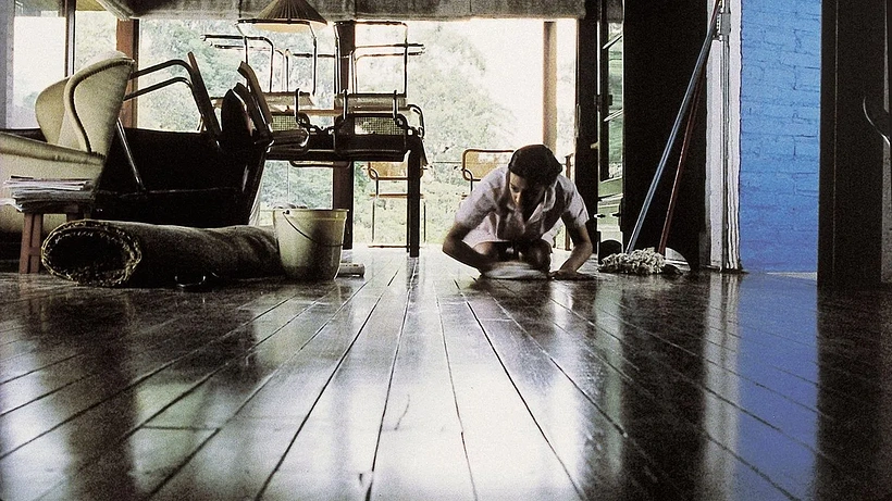 Imagen de Domésticas