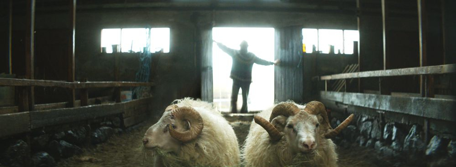 Imagen de Rams: El Valle de los carneros