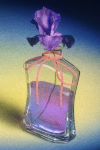 Poster de Fior Di Latte