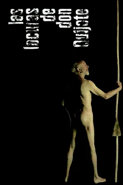 Las Locuras de Don Quijote