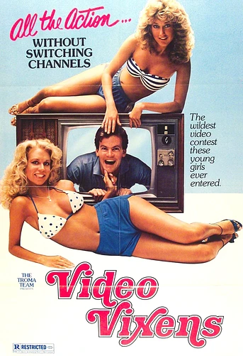 Poster de Video Vixens