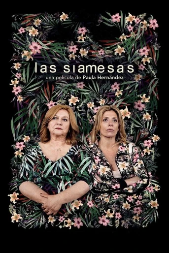 Poster de Las Siamesas