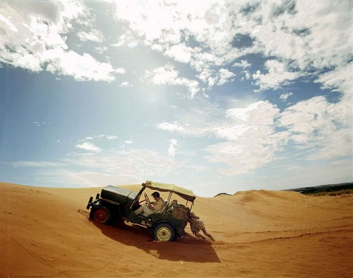 Imagen de Safari de Diamantes