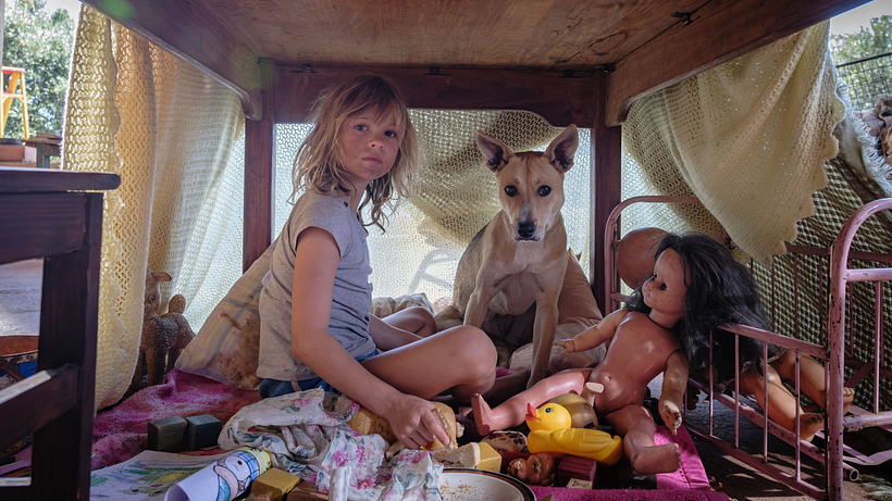 Imagen de Don't let's go to the Dogs tonight