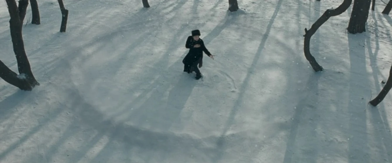 Ziyi Zhang en The Grandmaster