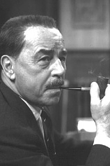 picture of actor Jan Teulings