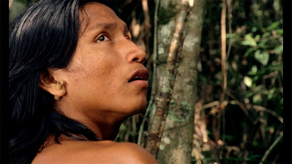 Imagen de el-canto-de-la-selva