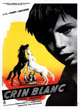 Poster de Crin Blanca
