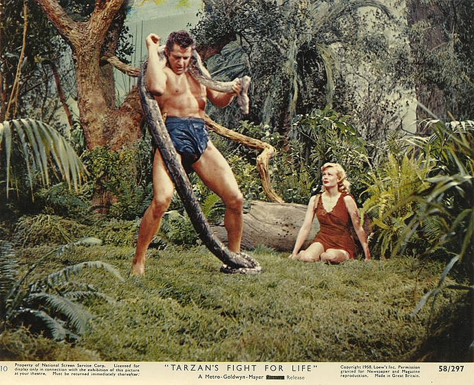 Gordon Scott [I] y Eve Brent en Tarzán Lucha Por Su Vida