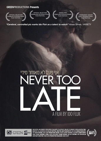 Poster de Never Too Late