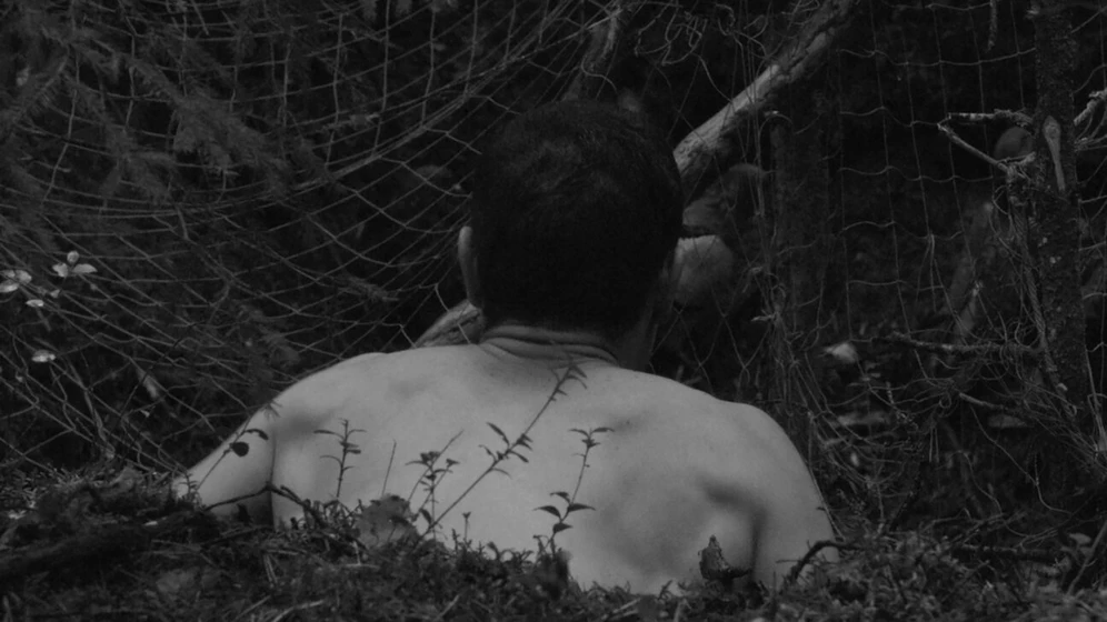 Imagen de on-this-land