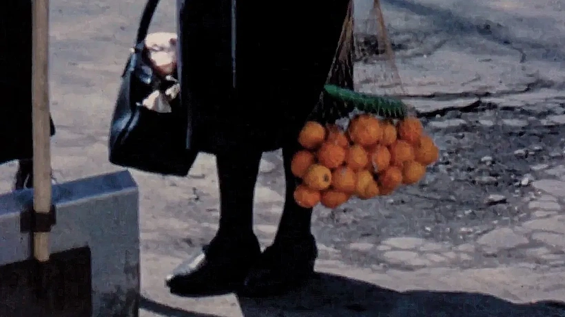 Imagen de Terra Femme