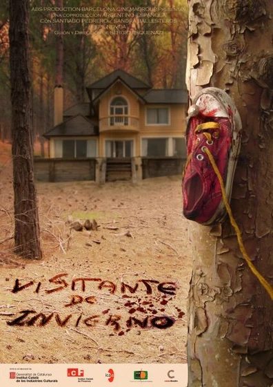 Imagen de visitante-de-invierno (Cartel)