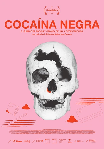 Poster de Cocaína Negra