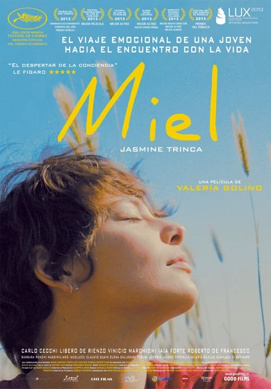 Imagen de miel-2013 (Cartel español)