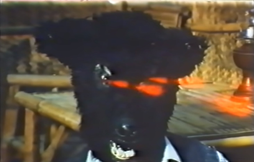 Imagen de Wolf