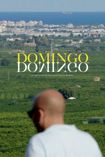 Poster de Domingo Domingo