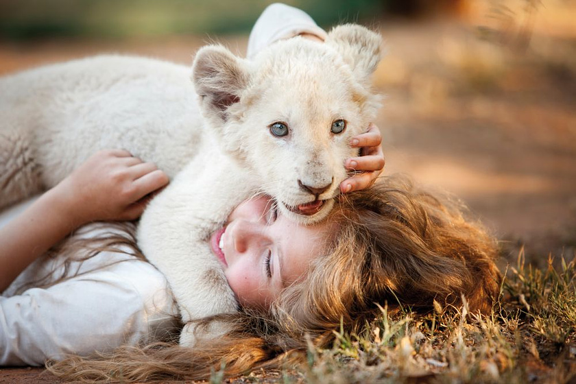 Imagen de Mia y el León Blanco