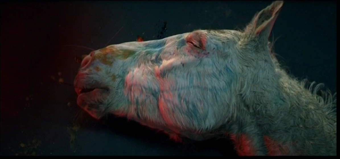 Imagen de la-resurrection-des-natures-mortes-living-still-life