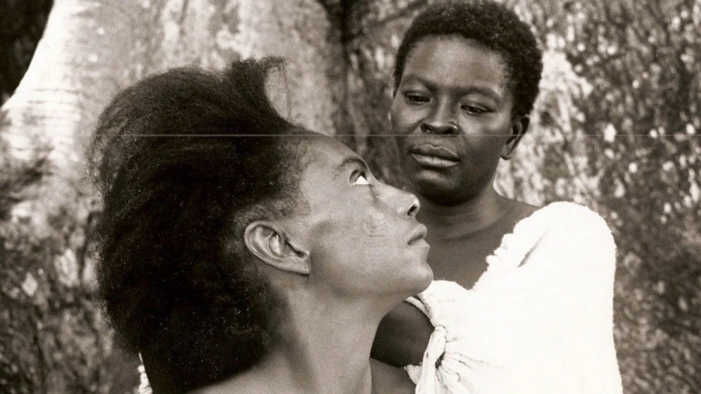 Imagen de sankofa