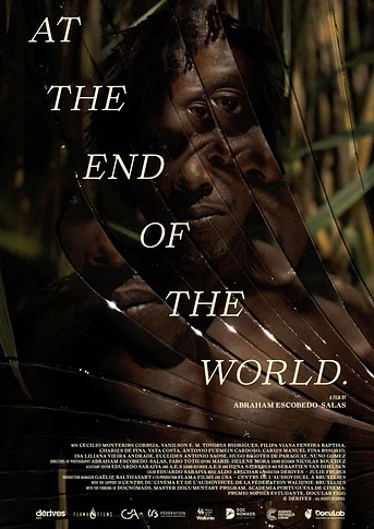 Poster de At the End Of The World