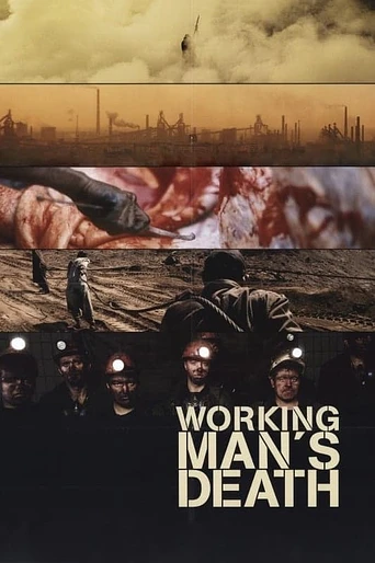 Poster de Workingman's Death