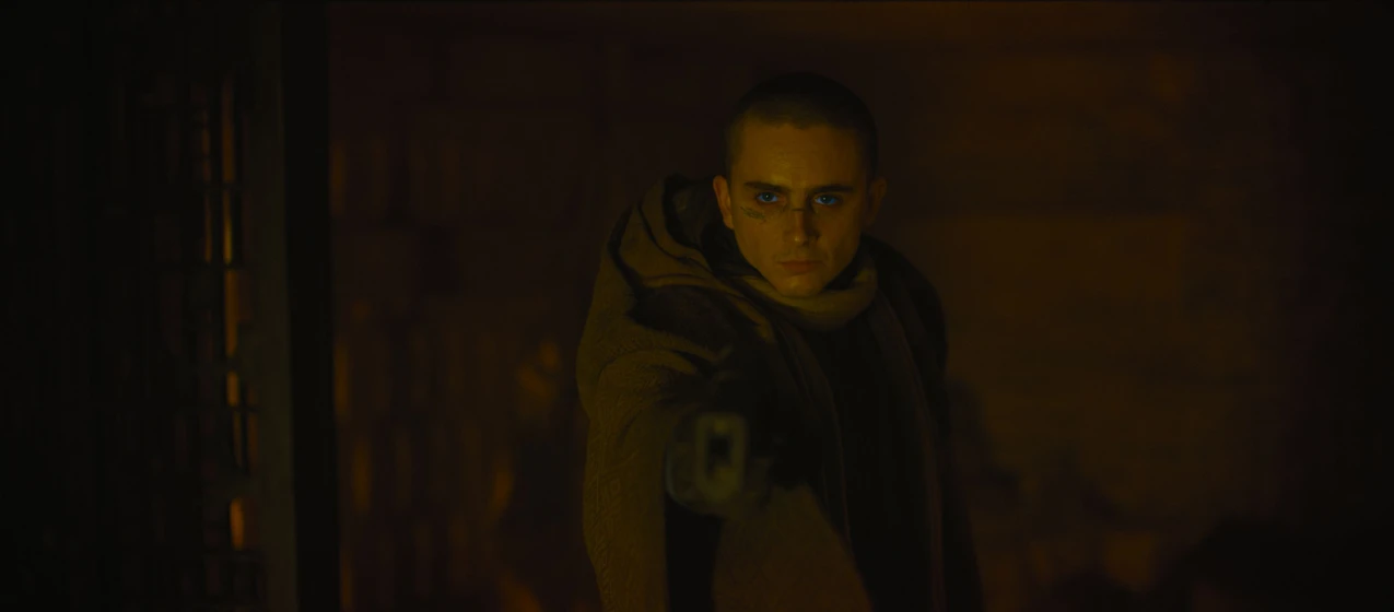 Timothée Chalamet en dune-parte-tres