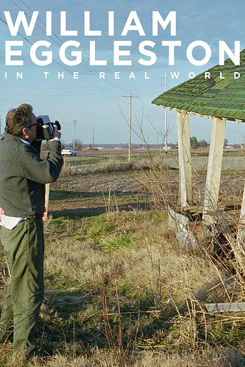 Poster de William Eggleston in the Real World