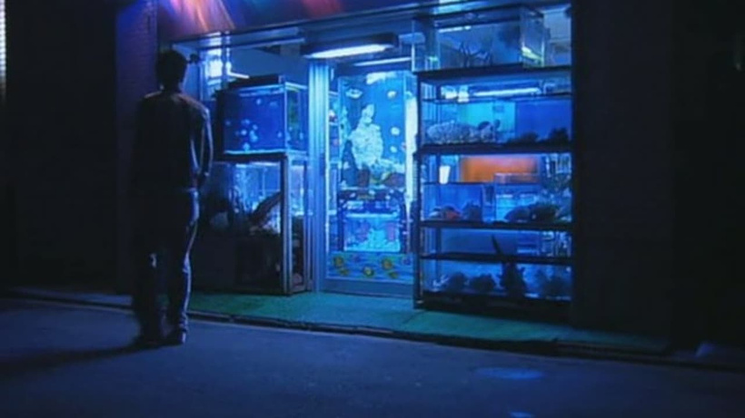 Imagen de Kakuto