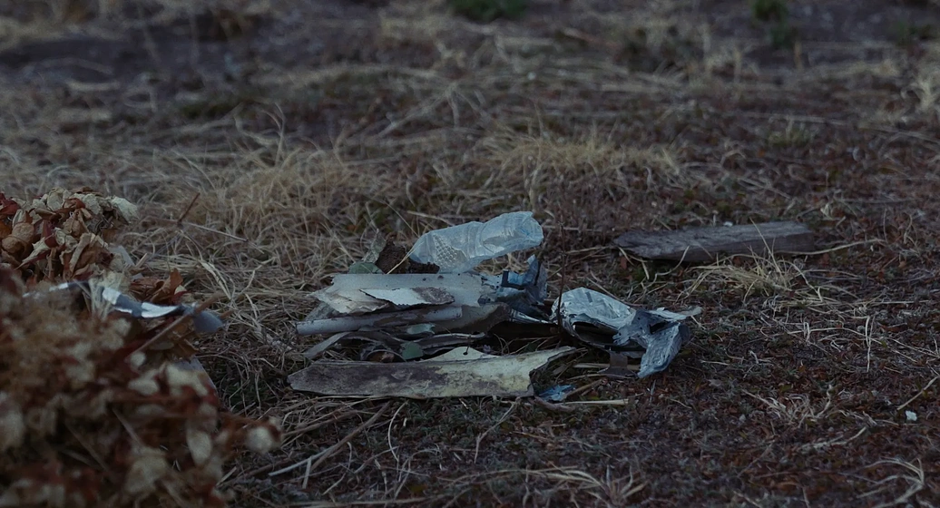 Imagen de An Open Field