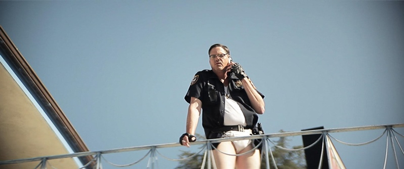 Mark Burnham en Wrong Cops