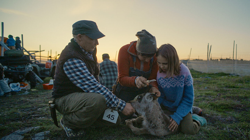 Imagen de Let Our Mountains Live