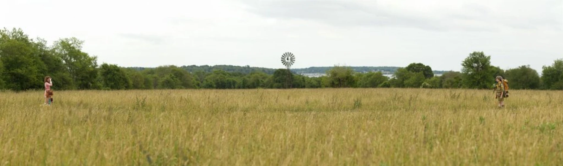 Imagen de Moonrise Kingdom
