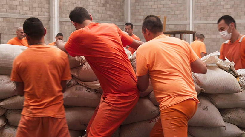 Imagen de 45 días en Jarbar