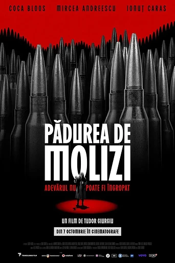 Poster de Spruce Forest