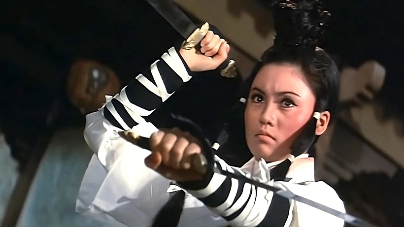 Imagen de Los Magníficos de la Venganza