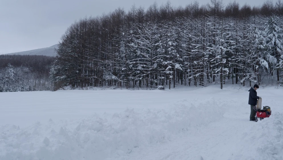 Imagen de living-through-the-same-season