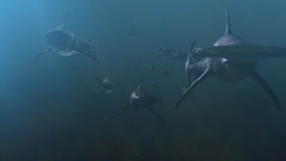 Imagen de El Planeta de los Tiburones