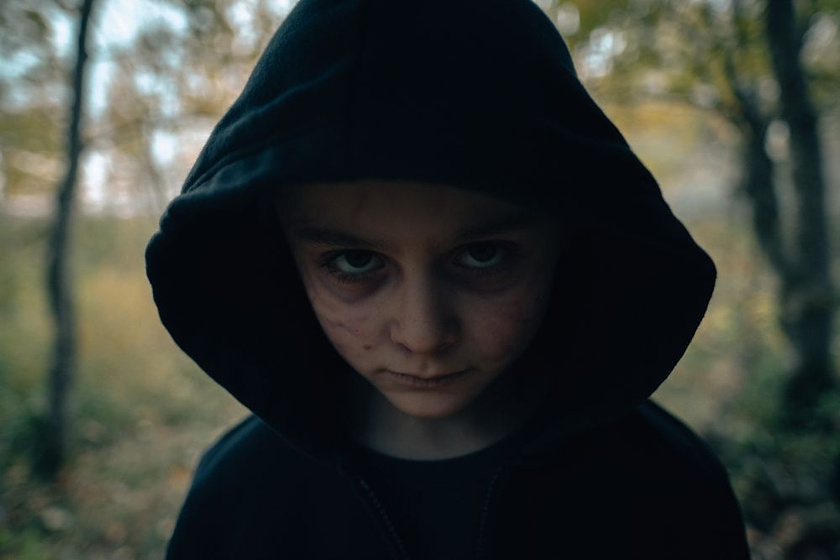 Imagen de Blood de Brad Anderson