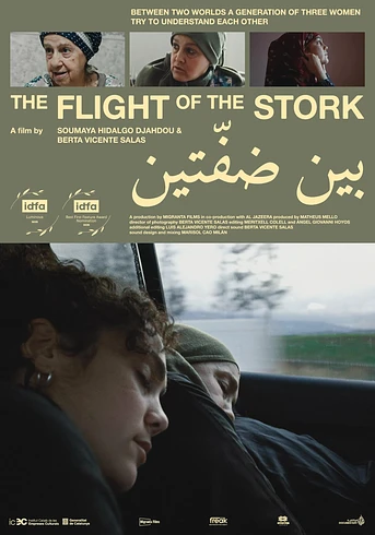 Poster de The Flight of the Stork