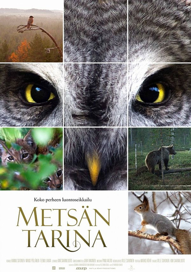 Imagen de Metsän tarina